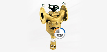 BWT 反冲洗过滤器 Multipur RFM（手动型）